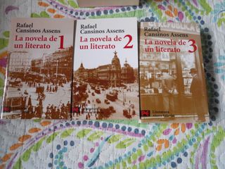LA NOVELA DE UN LITERATO,RAFAEL CANSINOS ASSENS