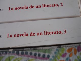 LA NOVELA DE UN LITERATO,RAFAEL CANSINOS ASSENS