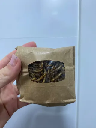 Jaula para hámster con accesorios