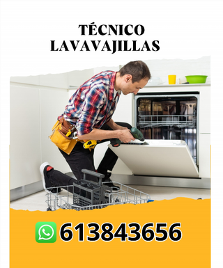 Técnico lavavajillas