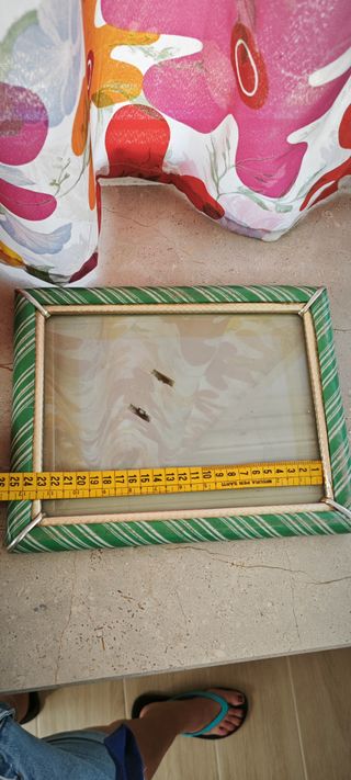 Cornice portafoto vintage righe verdi retró