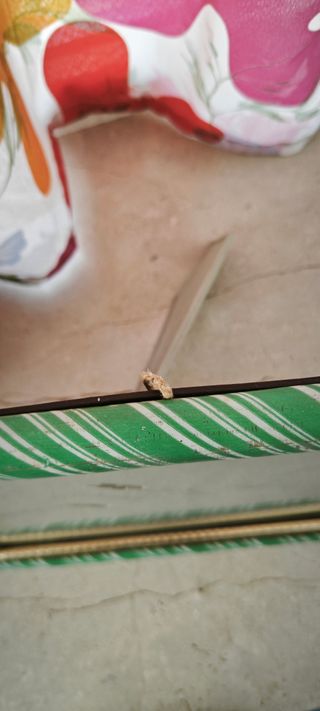 Cornice portafoto vintage righe verdi retró