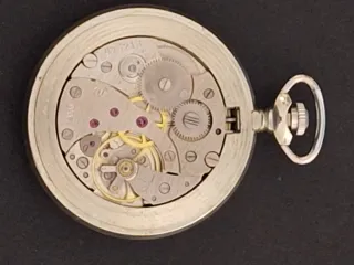 Orologio da tasca Discovery Day