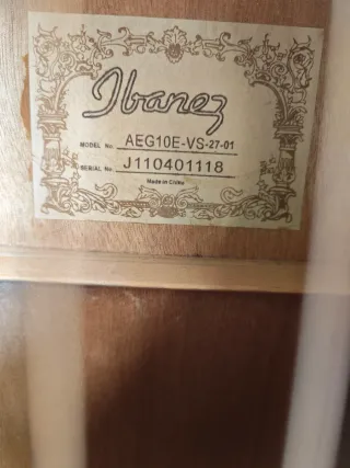Guitarra Electroacústica Ibanez AEG10E
