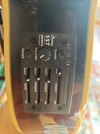 Guitarra Electroacústica Ibanez AEG10E