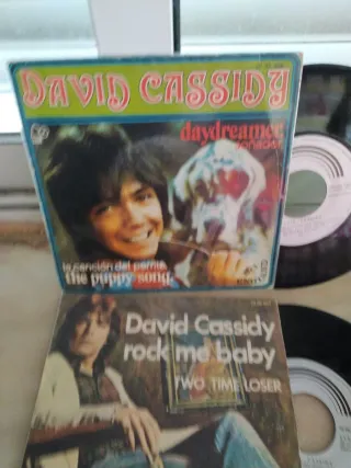 Lote 3 Vinilos David Cassidy