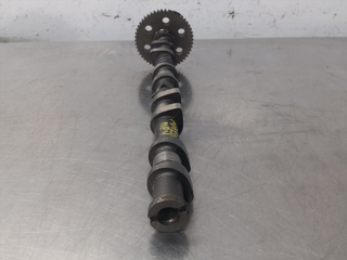 ARBOL DE LEVAS MAZDA MPV (LW)