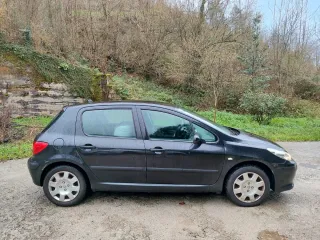Peugeot 307 2005