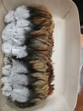 Lote de plumas decorativas