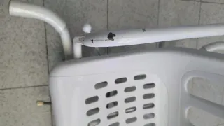 Silla de ducha para mayores