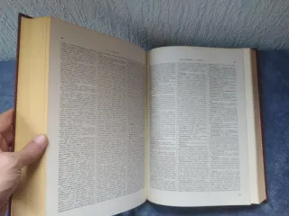 Diccionario Vasco Español Frances