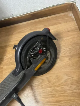 Patinetes Eléctricos Xiaomi (2 unidades)