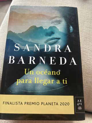 Un océano para llegar a ti: Finalista Premio Pl...