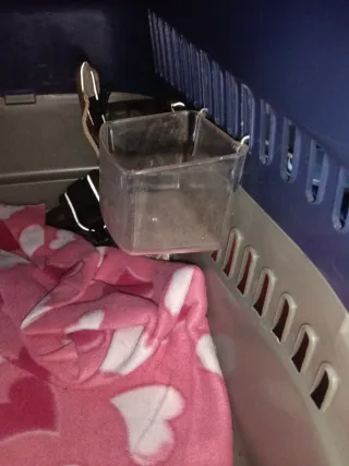 Transportín gato/perro pequeñoo