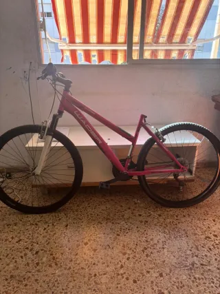 Bicicleta Montaña Rosa
