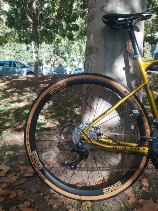 Bicicleta Gravel Bergamont Dorada