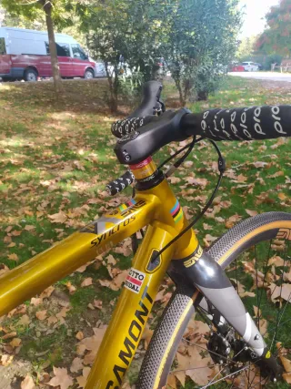 Bicicleta Gravel Bergamont Dorada