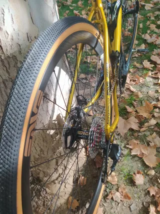 Bicicleta Gravel Bergamont Dorada