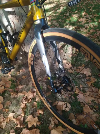 Bicicleta Gravel Bergamont Dorada