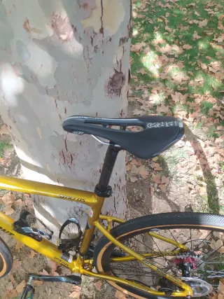 Bicicleta Gravel Bergamont Dorada