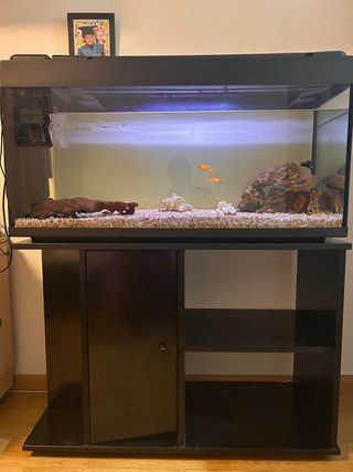 Pecera 180L con mueble