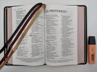NBLA Biblia Ultrafina, Letra Grande, Colección ...