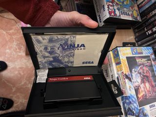 Ninja Gaiden Sega Master System