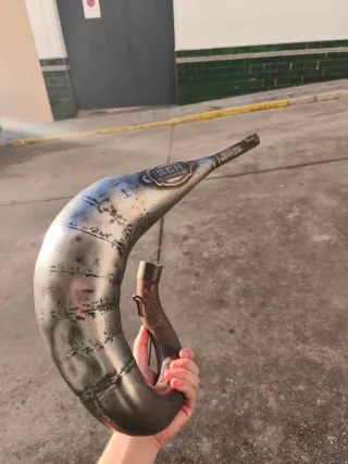 Escape SCR 70/80 AM6