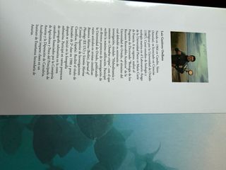 ASTURIAS BAJO EL MAR