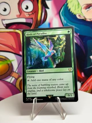 Aves del Paraíso Magic MTG El Señor de los Anillos