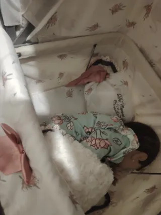 Carrito Reborn con Muñeca