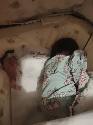 Carrito Reborn con Muñeca