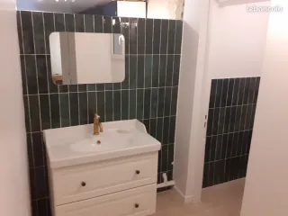 Convierte tu baño viejo en uno moderno y elegante.