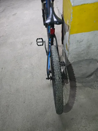 Bicicleta carbono Canyon Exceed CF SL talla L