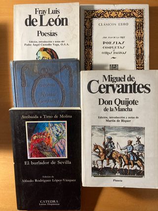 17 libros de literatura clásica española