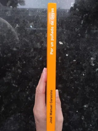 Libro "Por un puñado de Goyas"