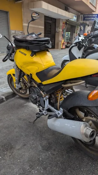 Ducati Monster 600 remato