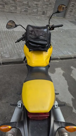Ducati Monster 600 remato