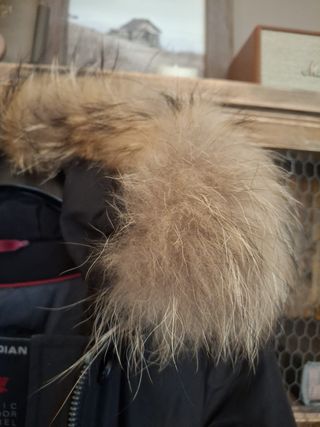 Chaqueta Invierno Canadian Negra con Capucha