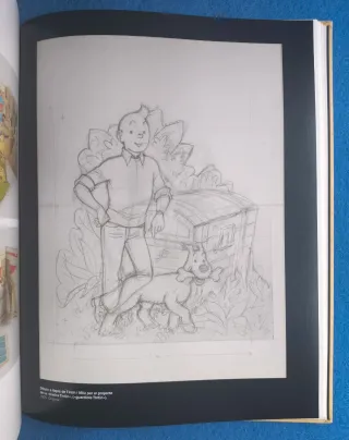 TINTÍN EN EL MÓN D'HERGÉ