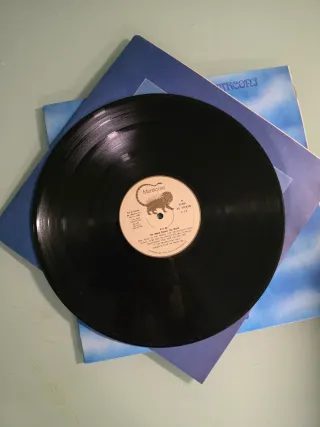 Vinilo LP The World Became The World