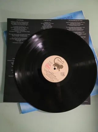 Vinilo LP The World Became The World