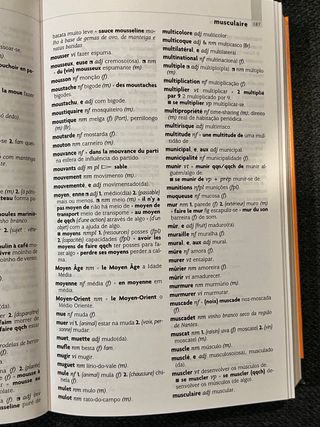 Dicionário Larousse Francês Português Francês