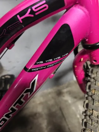 Bicicleta Monty infantil rosa 20"