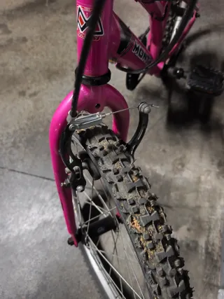 Bicicleta Monty infantil rosa 20"