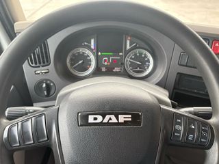 Camion rigido Daf Lf 210 Fa 2015