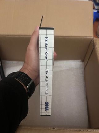 Fantasy Zone Sega Master System