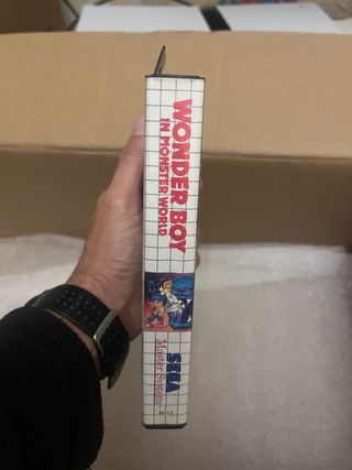 Wonder Boy in Monster World Master System