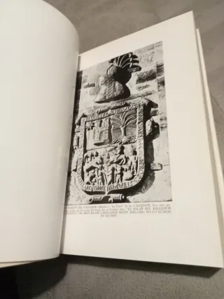 Heraldica de los Apellidos Asturianos