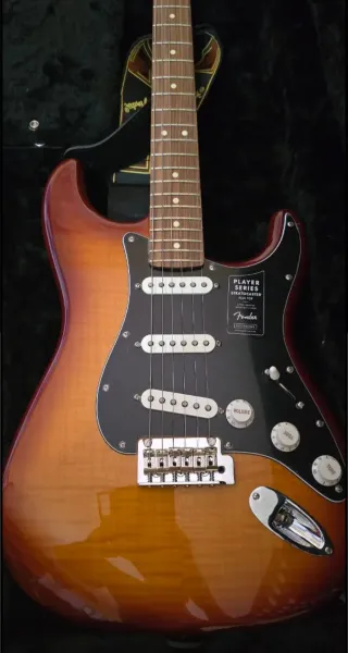 Fender Stratocaster Player Plus Top